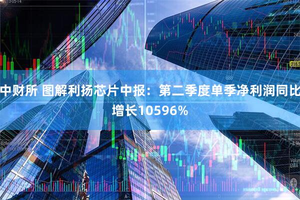 中财所 图解利扬芯片中报:第二季度单季净利润同比增长10596%
